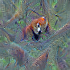 n02509815